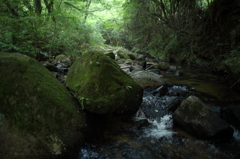森川2