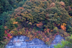 ヘブンス紅葉2