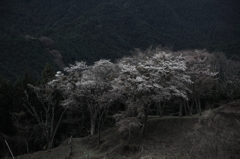 絶望