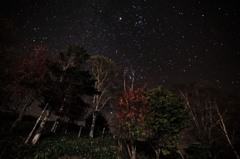 しらびそ星×紅葉