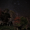 しらびそ星×紅葉