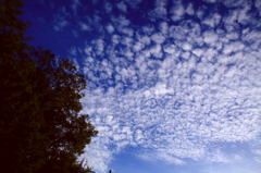 0828空×雲