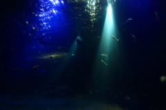 海中トンネル