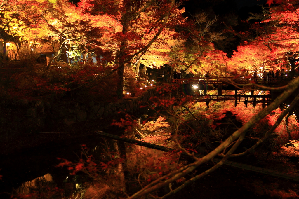素敵紅葉