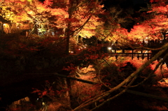 素敵紅葉