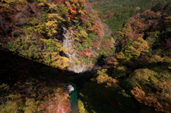 橋の上