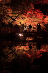 鏡紅葉
