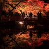 鏡紅葉
