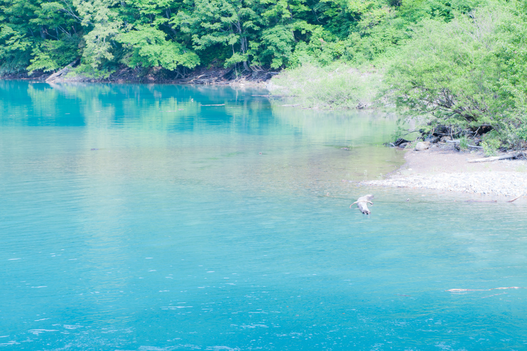 白水湖