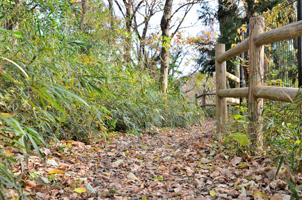 初冬の北八朔公園