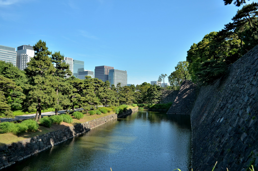 皇居東御苑　汐見坂から白鳥濠