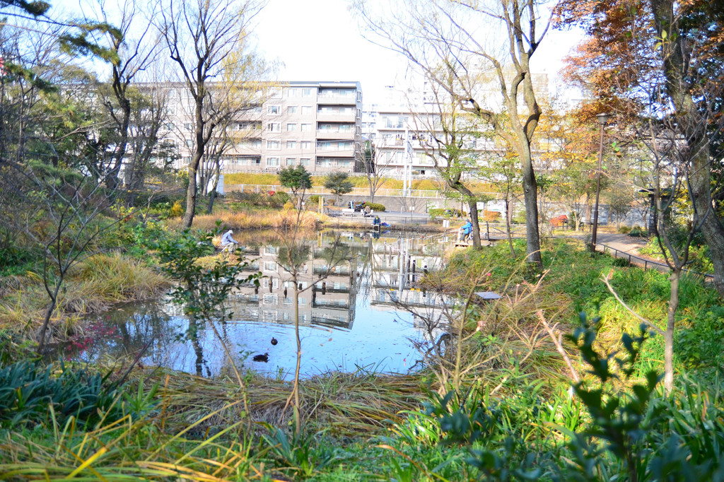 藤が丘公園