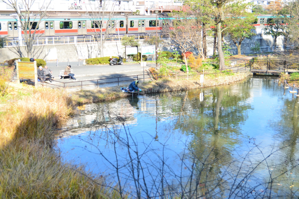 初冬の藤が丘公園