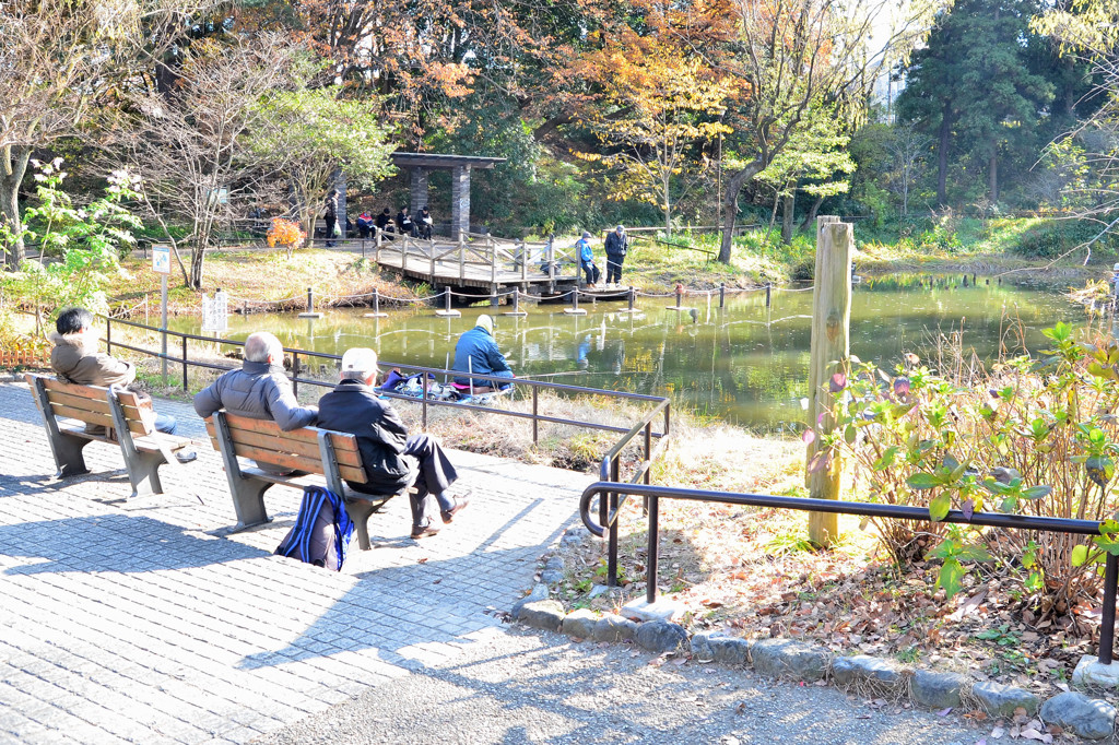 藤が丘公園