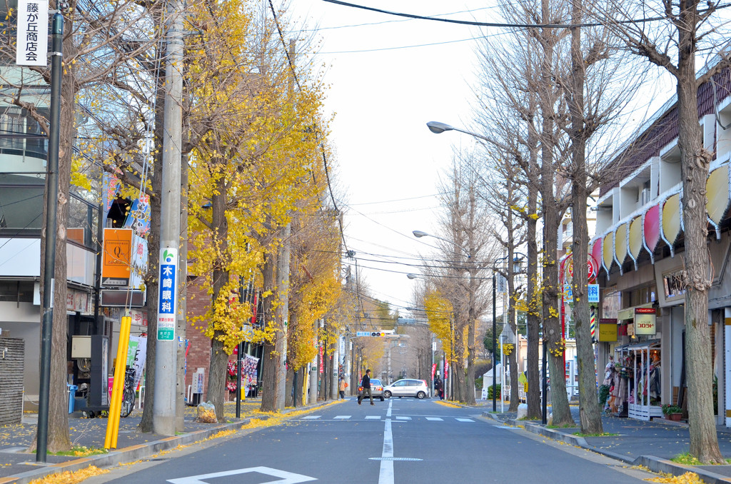 藤が丘駅前商店街のイチョウ並木