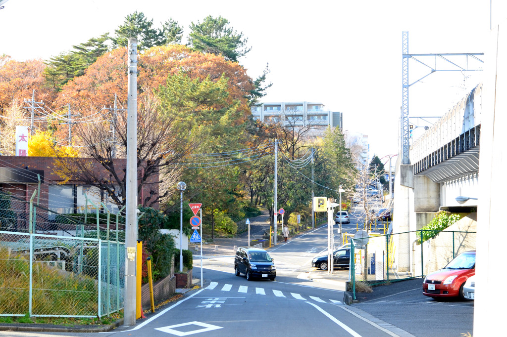 藤が丘公園