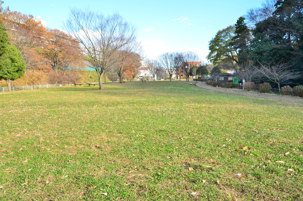 初冬の北八朔公園