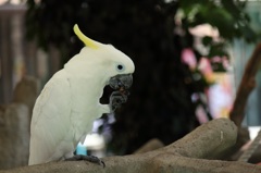 お食事中？
