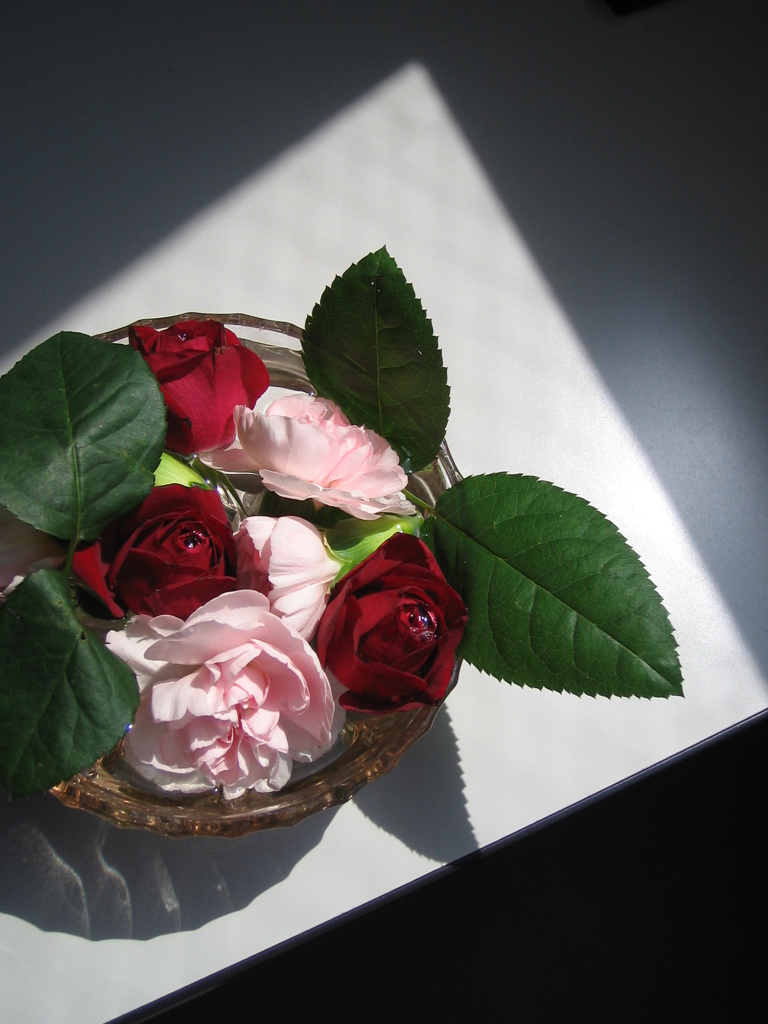 オフィスの華