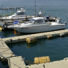 穏やかな三月の光景