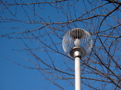 冬の公園にて－１