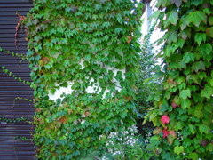 休屋にも秋の気配