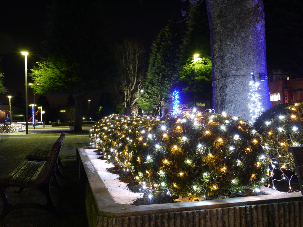 氷都イルミネーション－５