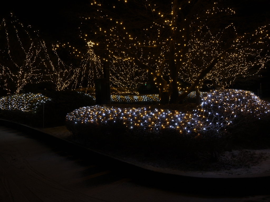 氷都イルミネーション－１