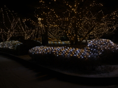 氷都イルミネーション-1
