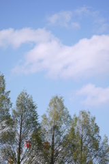 五月の空