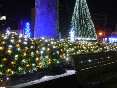 氷都イルミネーション－６