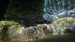 氷都イルミネーション－３