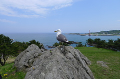 動かないでいてね