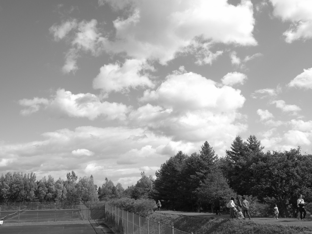 秋の空