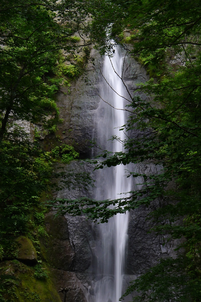 2015.08　「涼」