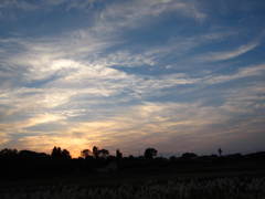 帰り道の夕焼け