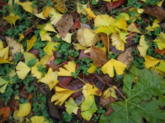 北風のおくりもの－２