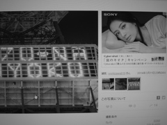 絆。大切に！