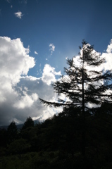 高原の風景