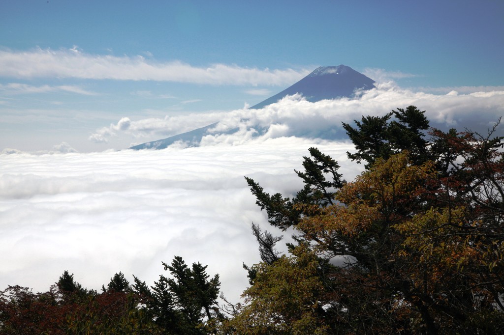 三つ峠山頂からの富士山