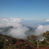 三つ峠山頂より