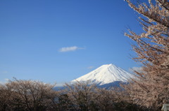 富士山