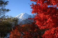 富士山