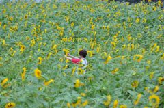ひまわりさんハイチーズ