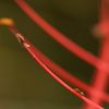 キツイ登りが続きます