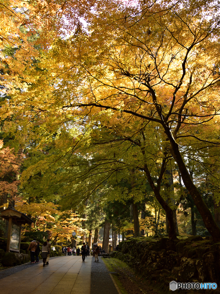 永平寺　参道