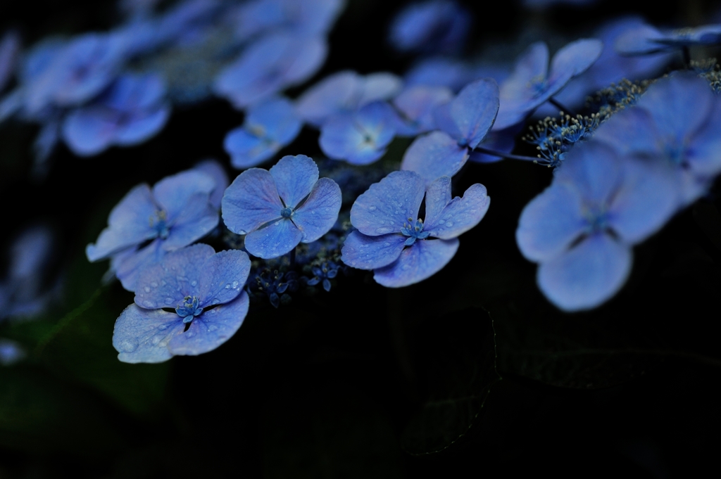 雨化粧