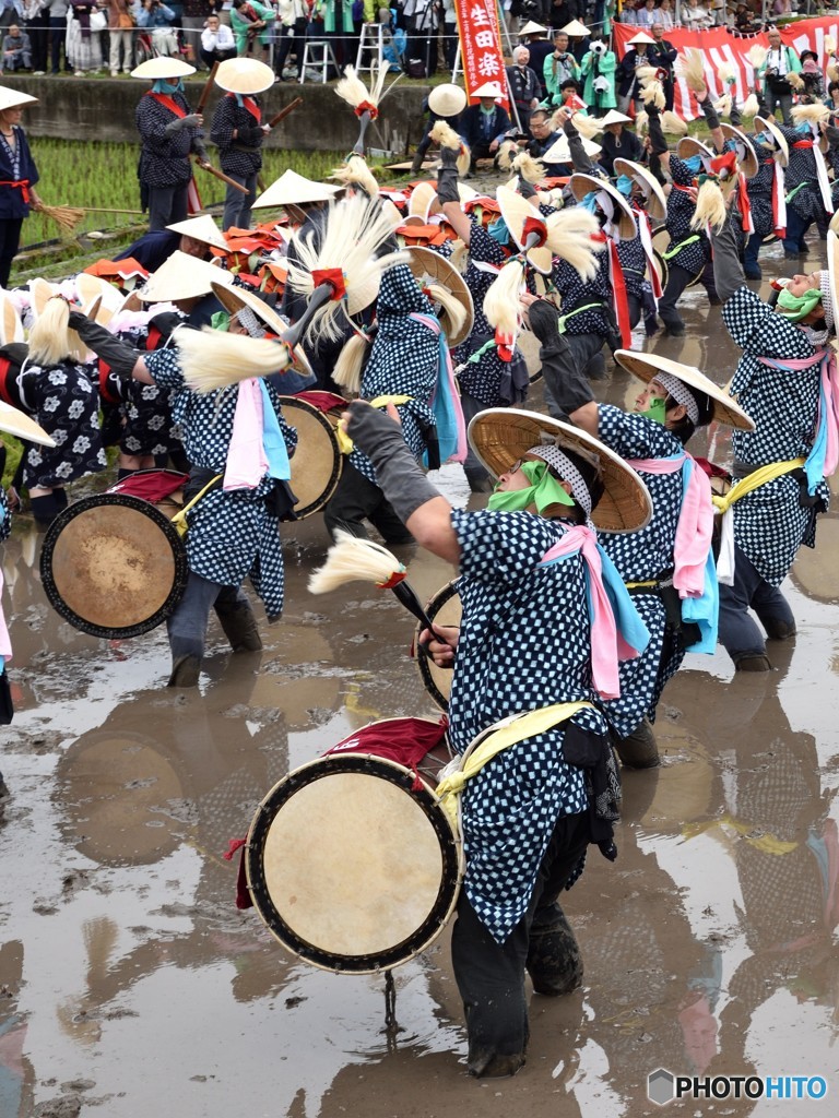バチが舞う