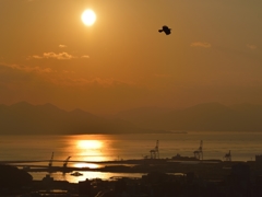 夕海