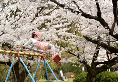 春のブランコ　天まで届け